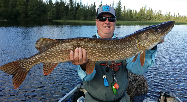 Giant Northern Pike