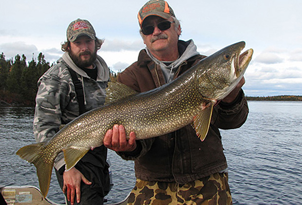 Lake Trout