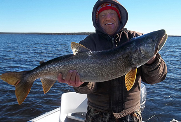 Lake Trout