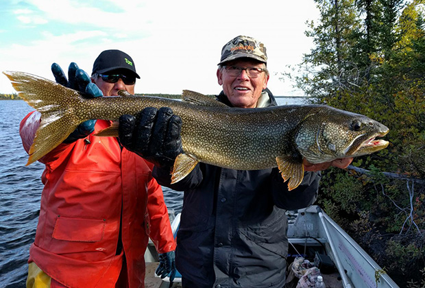 Lake Trout