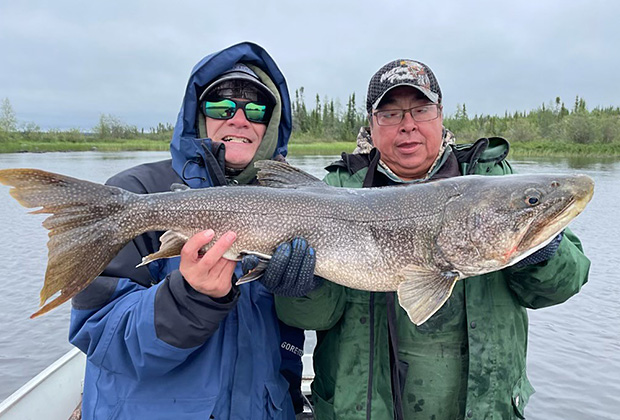 Lake Trout