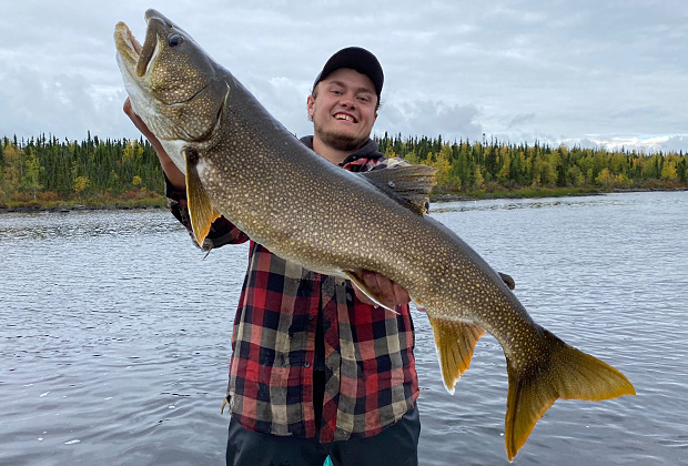 Lake Trout