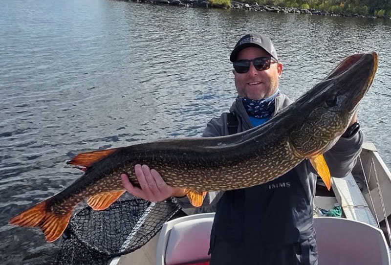 Northern Pike