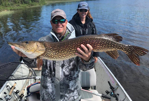 Giant Northern Pike