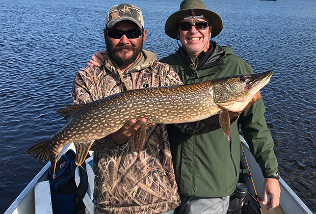 Trophy Northern Pike abound