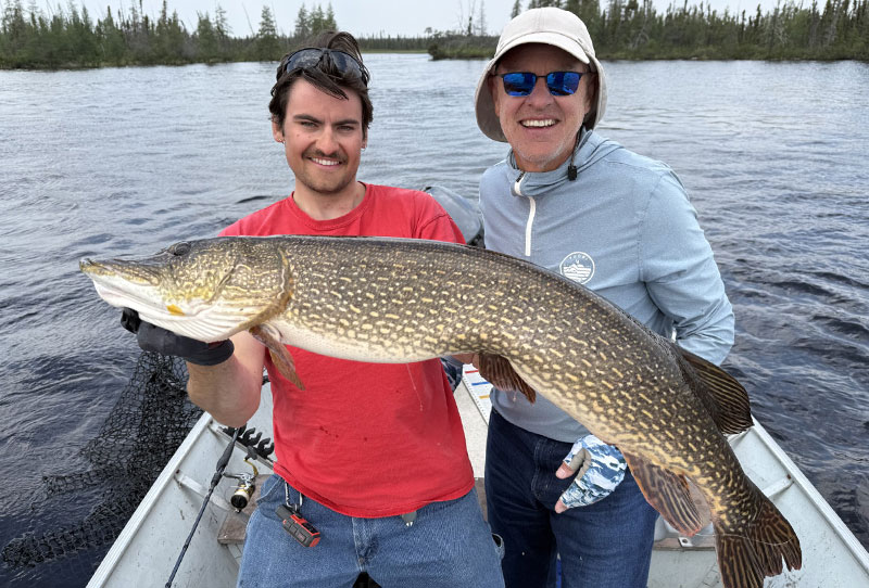 Giant Northern Pike