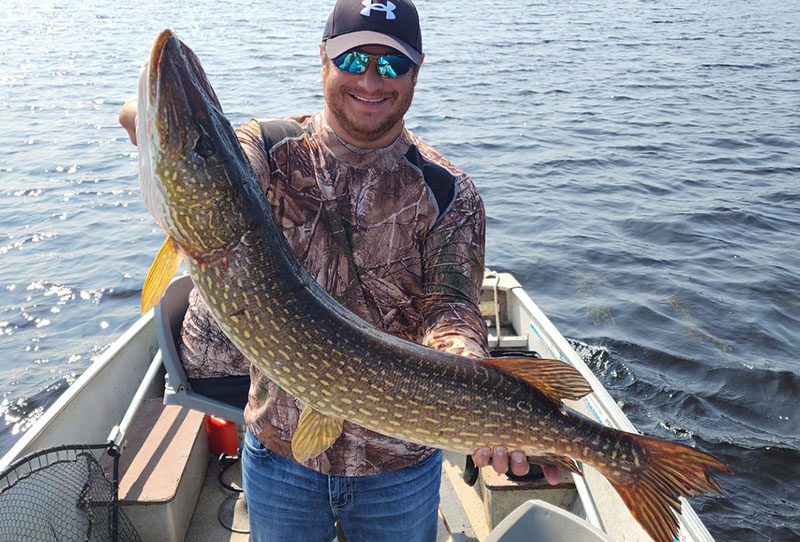 Giant Northern Pike