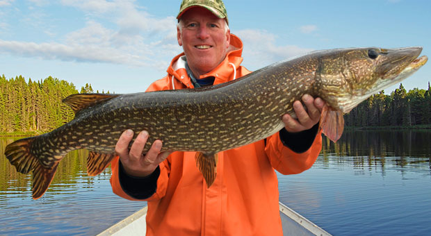 Giant Northern Pike