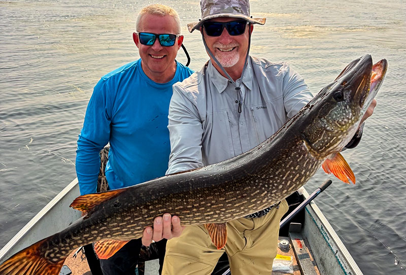 Trophy Northern Pike abound